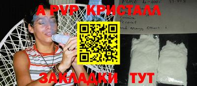 apvp Кингисепп