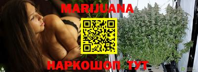 apvp Кингисепп