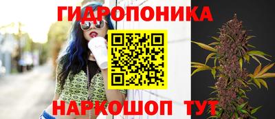apvp Кингисепп