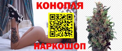 apvp Кингисепп