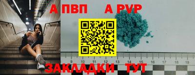 apvp Кингисепп