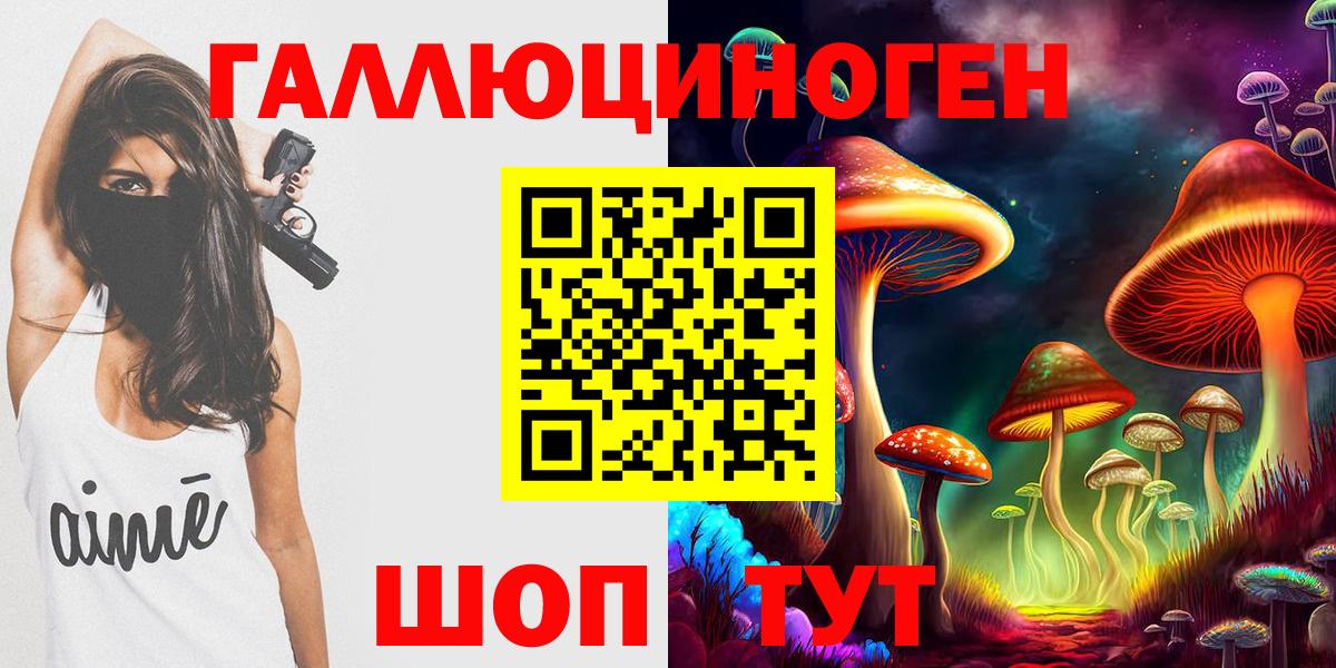 Балашов  Галлюциногенные грибы Psilocybine cubensis  Вход с VPN 